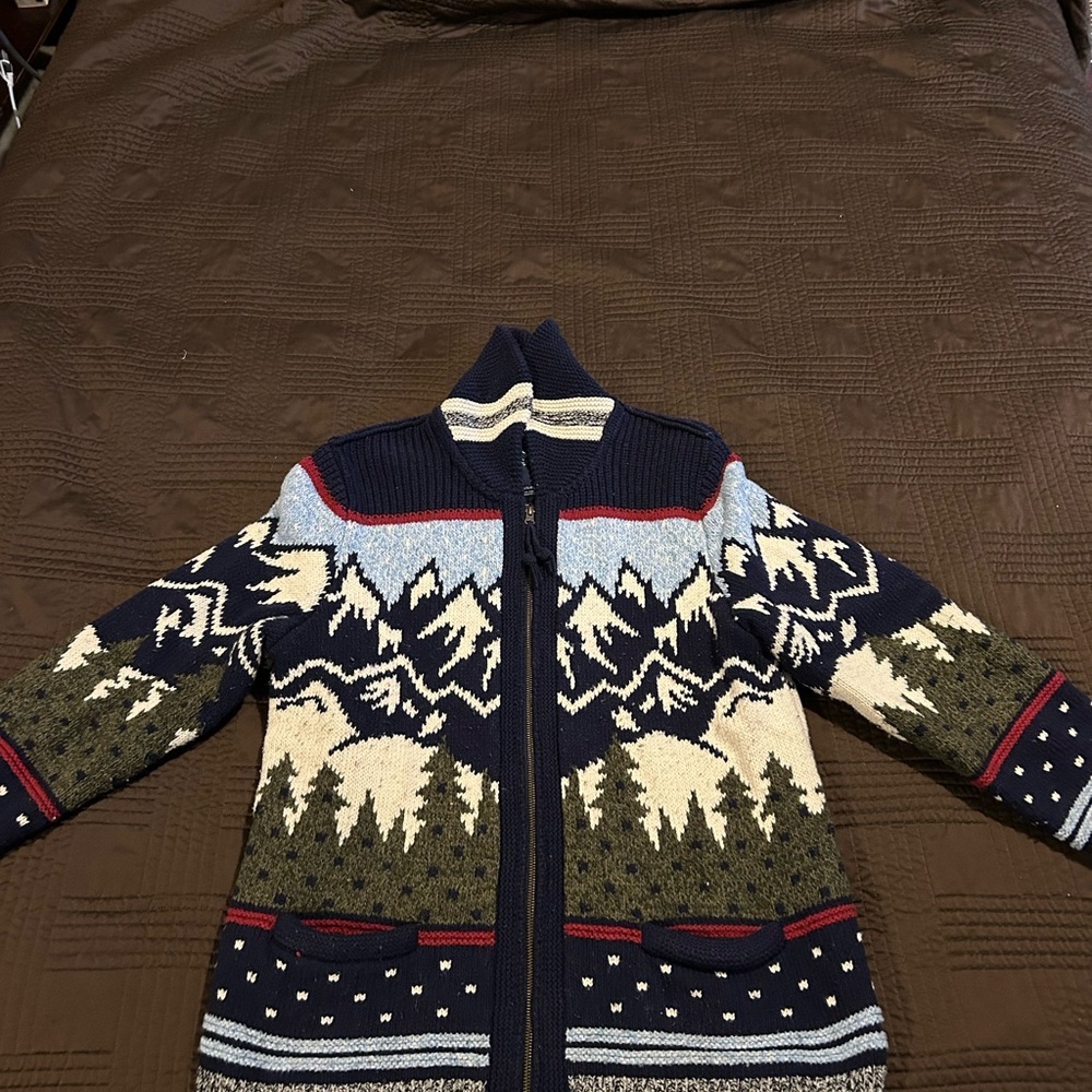 American Eagle Outfitters Navy and Olive Mountain Zip-Up Sweater